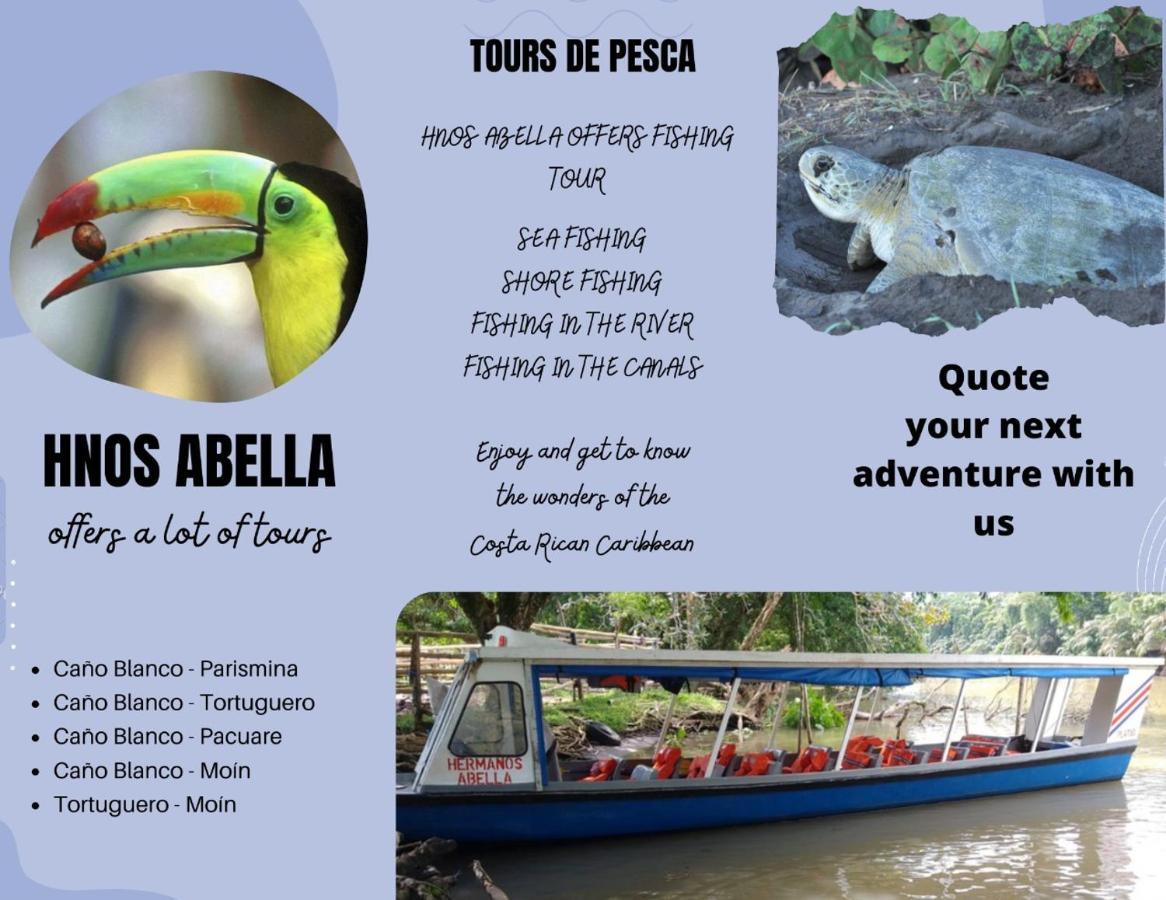 Sleep&Go! Cabina Cuadruple En Siquirres Centro - And Rafting Tour! Siqurres Da Alegria エクステリア 写真